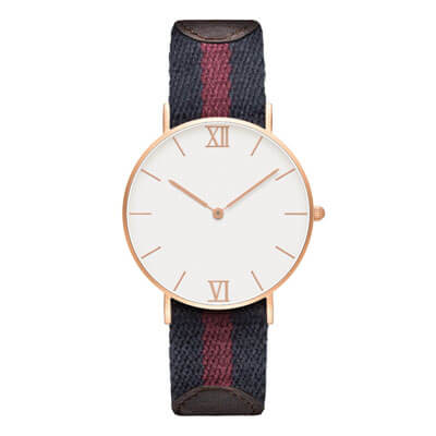 Dainel Wellington Watch