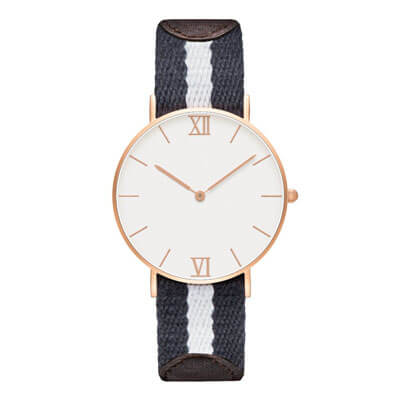 Dainel Wellington Watch