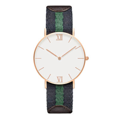 Dainel Wellington Watch