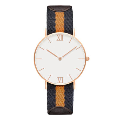 Dainel Wellington Watch