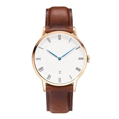 Dainel Wellington Watch Supplier