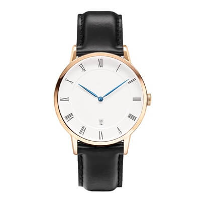 Dainel Wellington Watch Supplier